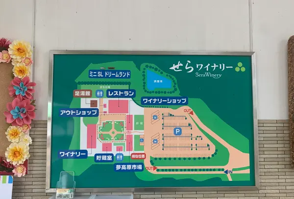 せらワイナリーの写真・動画_image_371721