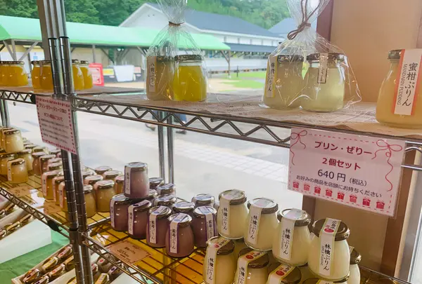 せらワイナリーの写真・動画_image_371738