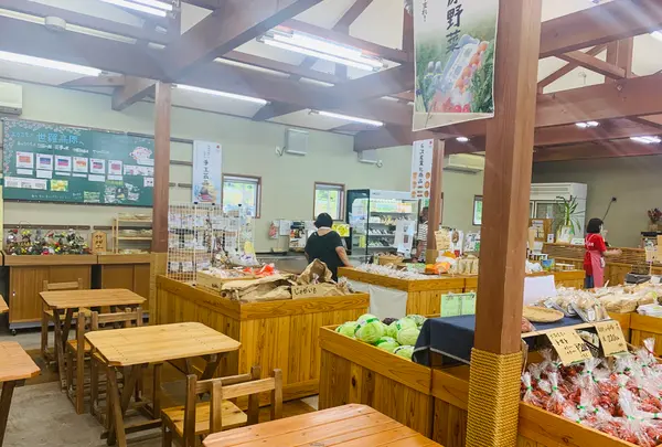 せらワイナリーの写真・動画_image_371745