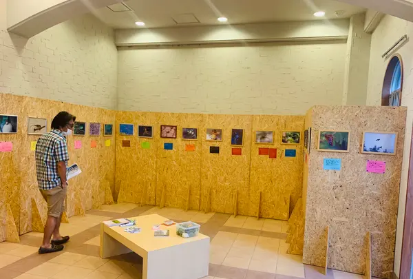 せらワイナリーの写真・動画_image_371748