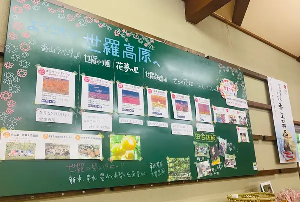 せらワイナリーの写真・動画_image_371752