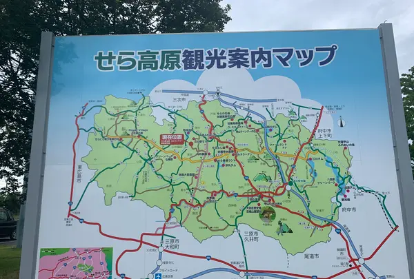 せら夢公園の写真・動画_image_371761