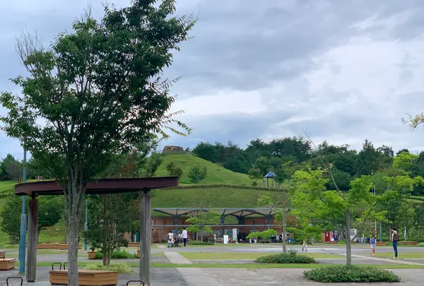 せら夢公園の写真・動画_image_371762