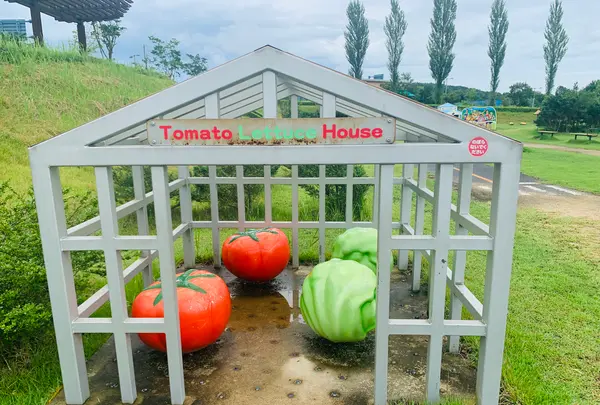 せら夢公園の写真・動画_image_371763