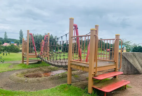 せら夢公園の写真・動画_image_371764