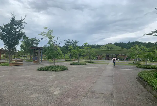 せら夢公園の写真・動画_image_371768