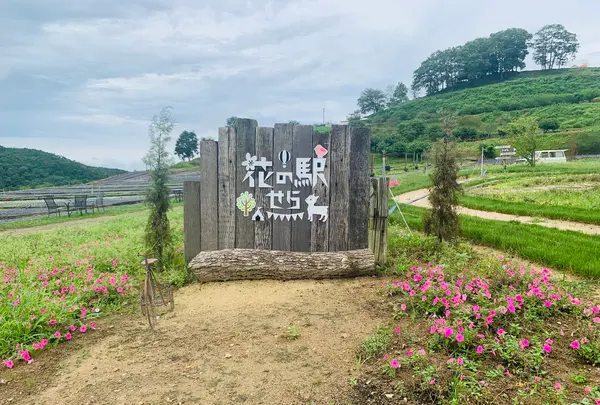 花の駅せらの写真・動画_image_371790