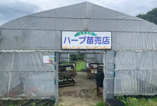 香山ラベンダーの丘の写真・動画_image_371806