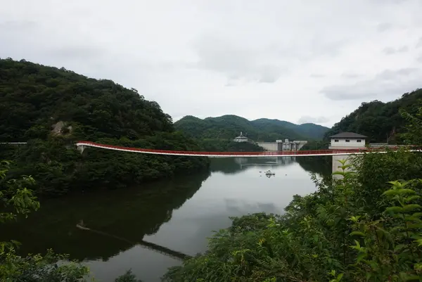 夢吊橋の写真・動画_image_371854