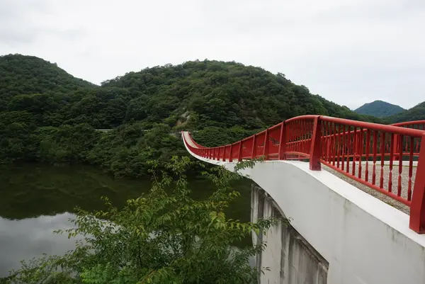 夢吊橋の写真・動画_image_371856