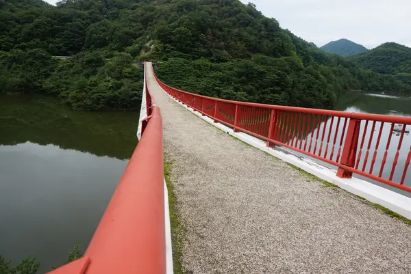 夢吊橋の写真・動画_image_371857