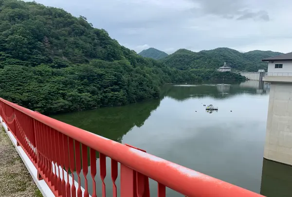夢吊橋の写真・動画_image_371858