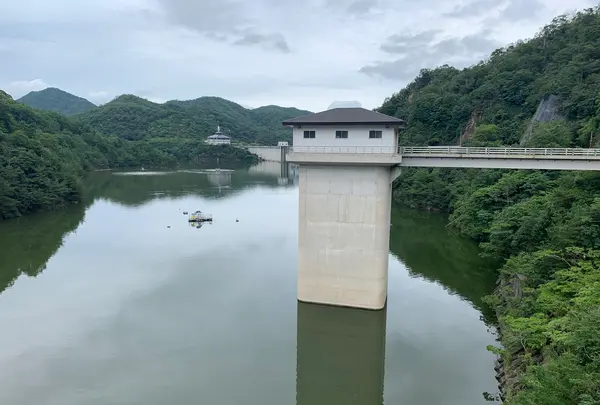 夢吊橋の写真・動画_image_371859