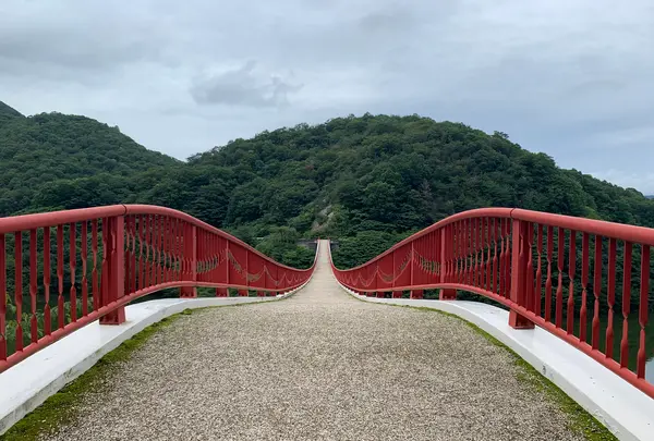 夢吊橋の写真・動画_image_371860