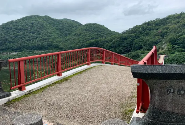 夢吊橋の写真・動画_image_371863