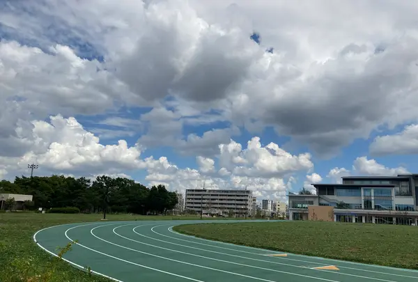 平和の森公園の写真・動画_image_371864