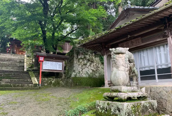 須佐神社の写真・動画_image_371887