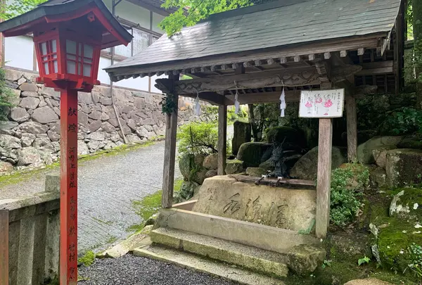 須佐神社の写真・動画_image_371890