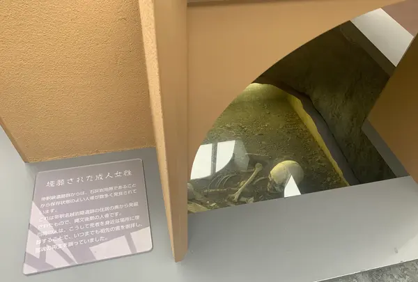 時悠館の写真・動画_image_371910