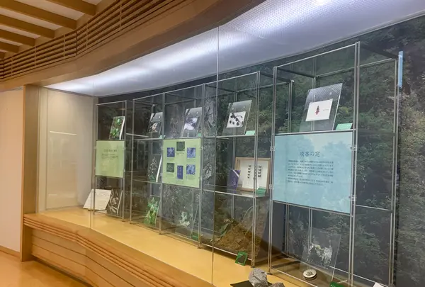 時悠館の写真・動画_image_371913