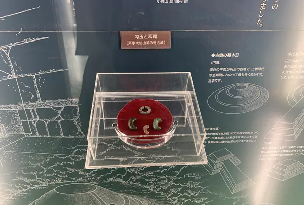 時悠館の写真・動画_image_371926