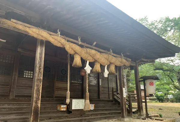 熊野神社の写真・動画_image_371995