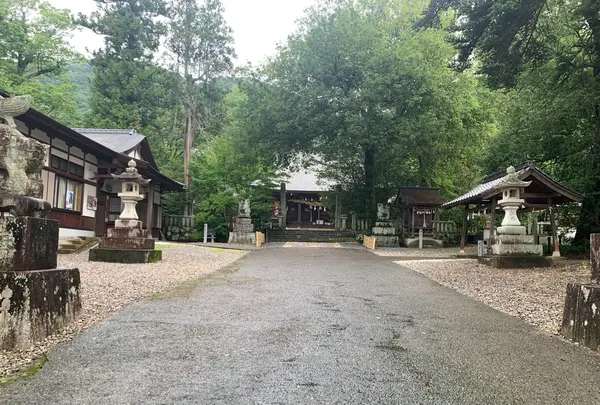 熊野神社の写真・動画_image_371999