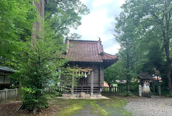 熊野神社の写真・動画_image_372002
