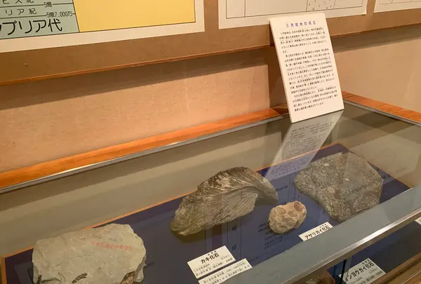 みよし風土記の丘の写真・動画_image_372023