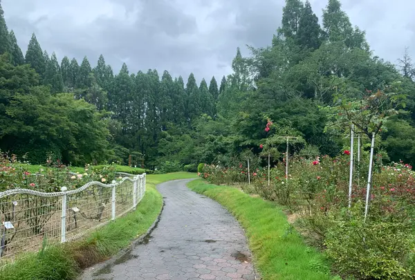 湧永満之記念庭園の写真・動画_image_372060