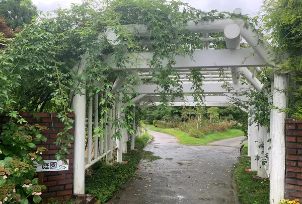 湧永満之記念庭園の写真・動画_image_372061