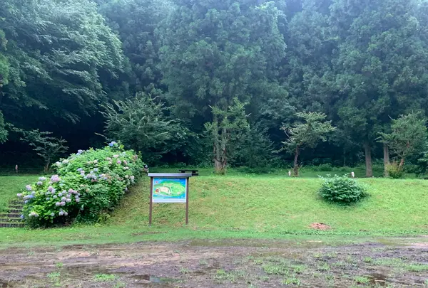 ほたる見公園の写真・動画_image_372120