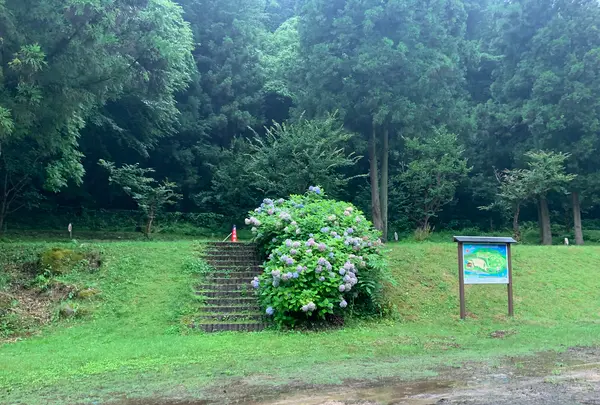 ほたる見公園の写真・動画_image_372123