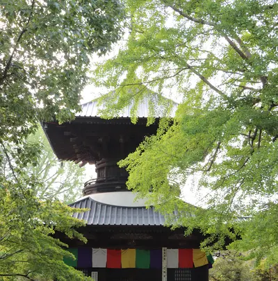 鑁阿寺の写真・動画_image_372128