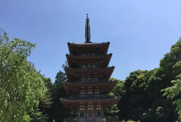 醍醐寺の写真・動画_image_372192