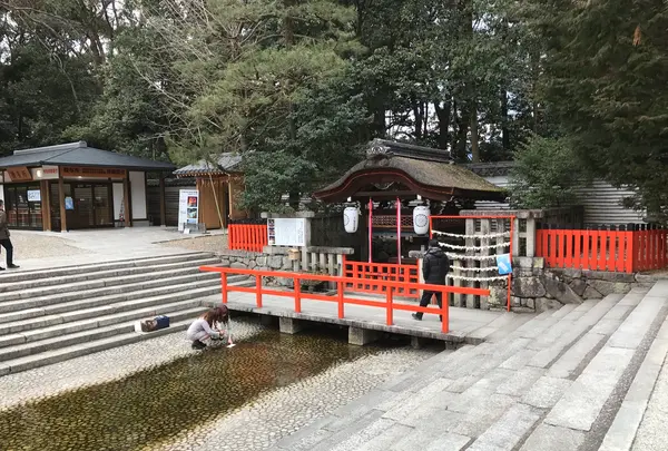 下鴨神社（賀茂御祖神社）の写真・動画_image_372208