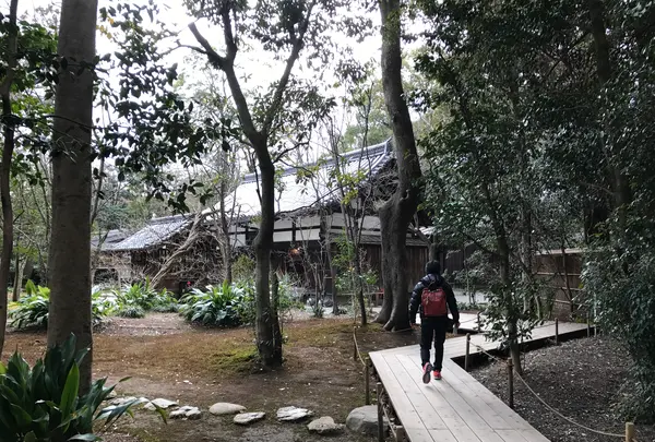 下鴨神社（賀茂御祖神社）の写真・動画_image_372216