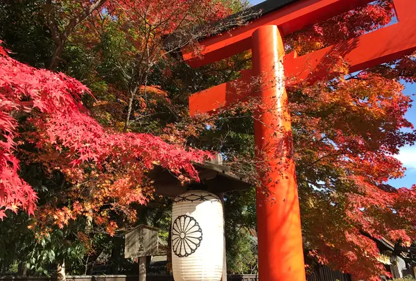 下鴨神社（賀茂御祖神社）の写真・動画_image_372217