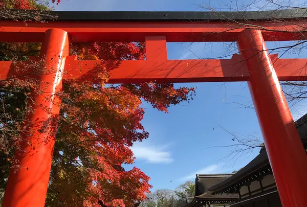 下鴨神社（賀茂御祖神社）の写真・動画_image_372219