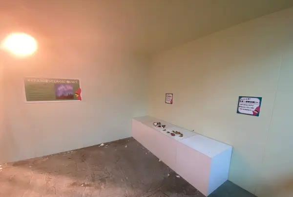 やきいもファクトリーミュージアムの写真・動画_image_372245