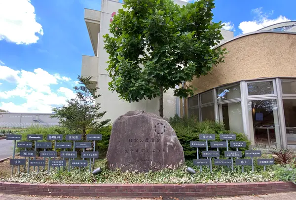 ファームトゥザテーブルの写真・動画_image_372253