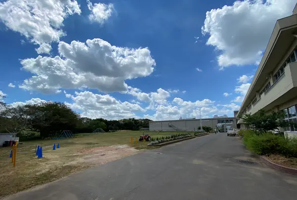 さつまいもスイーツ専門店 らぽっぽファーム なめがたファーマーズヴィレッジ店の写真・動画_image_372255