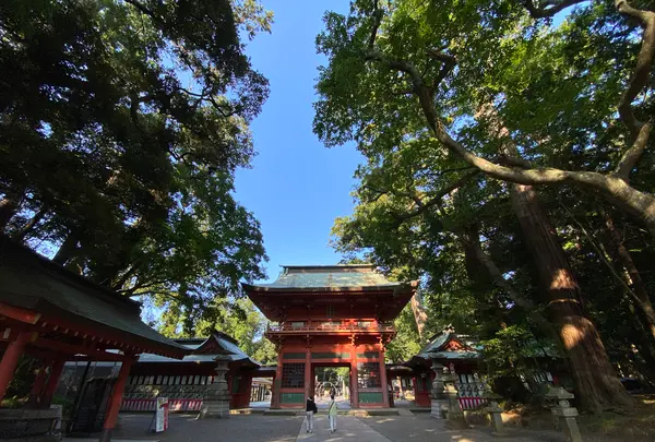鹿島神宮の写真・動画_image_372266