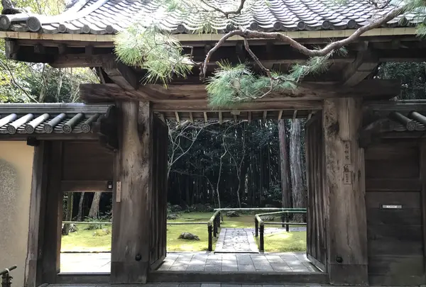 高桐院の写真・動画_image_372346
