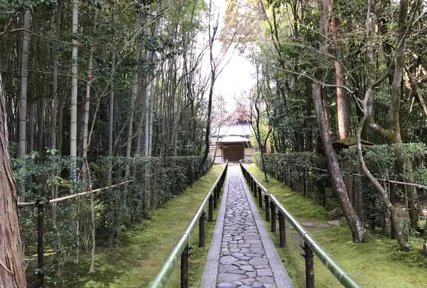 高桐院の写真・動画_image_372348