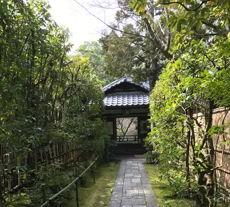 高桐院の写真・動画_image_372349