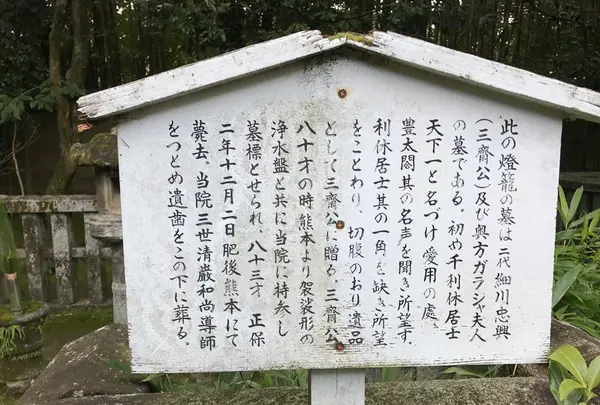 高桐院の写真・動画_image_372351
