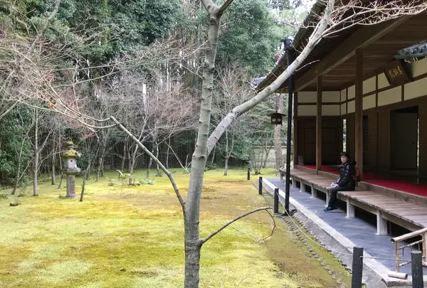 高桐院の写真・動画_image_372352