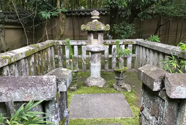 高桐院の写真・動画_image_372353