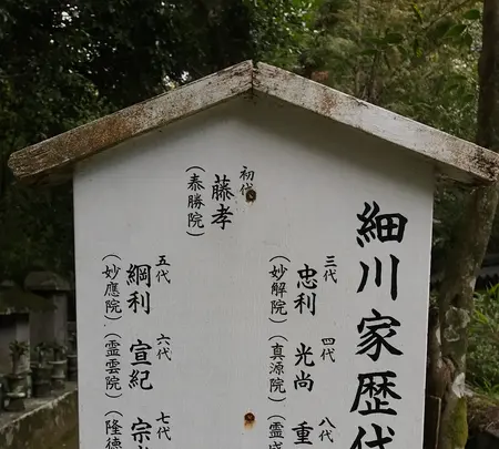 高桐院の写真・動画_image_372354